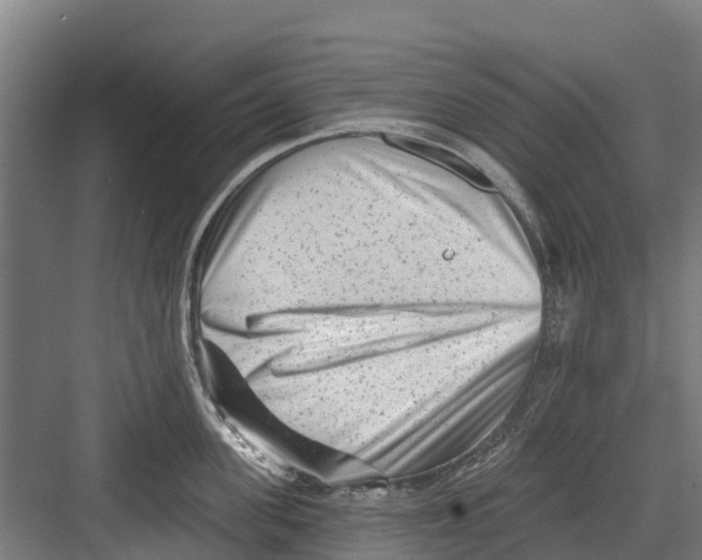 X0000082680955200702161655