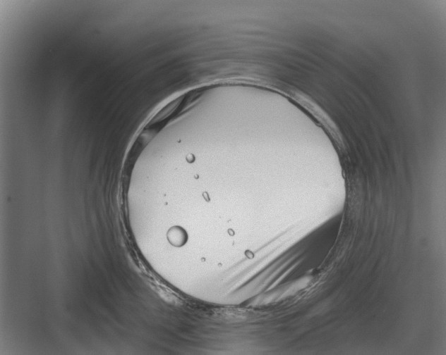 X0000082680956200702161655