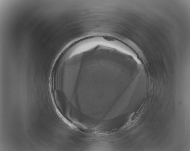 X0000082680958200702161655