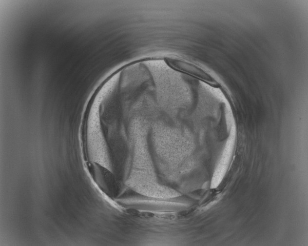 X0000082680959200702161655