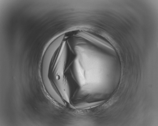 X0000082680960200702161655