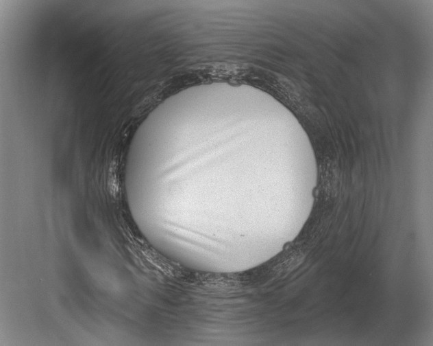 X0000082680962200702161654