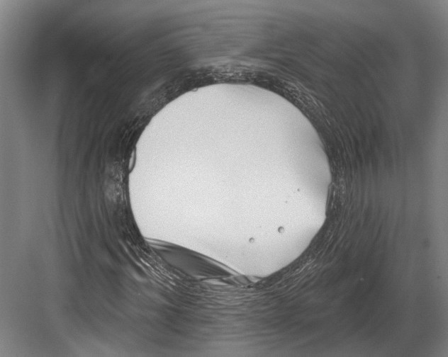 X0000082680964200702161654