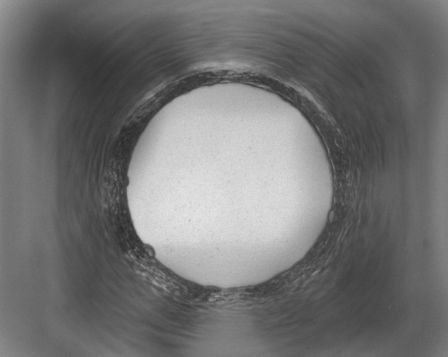 X0000082680967200702161654