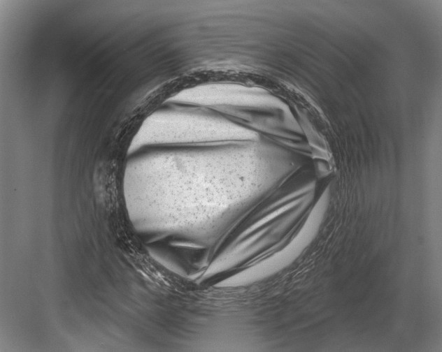 X0000082680968200702161654