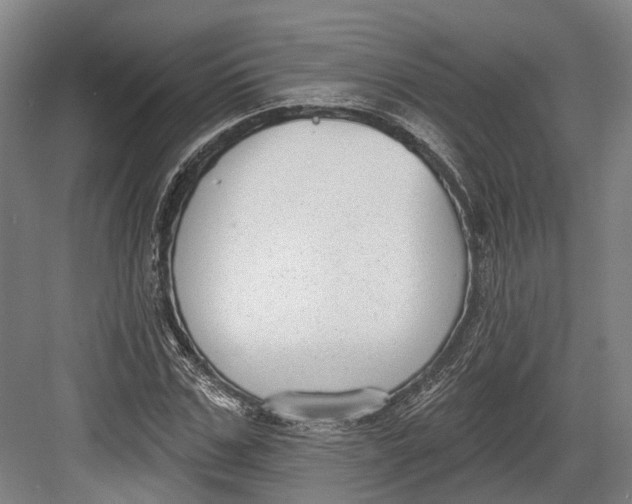 X0000082680971200702161654