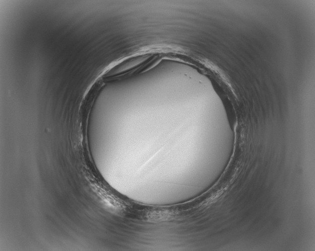 X0000082680973200702161654