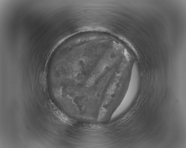 X0000082680975200702161654