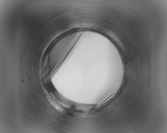 X0000082680976200702161654