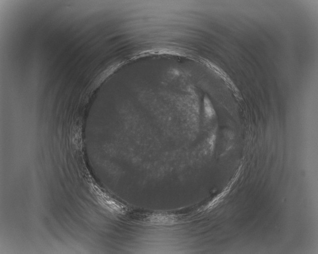 X0000082680977200702161654