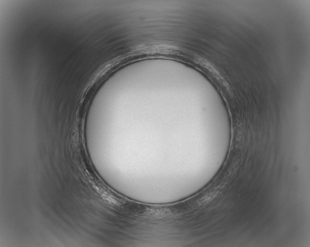 X0000082680978200702161654