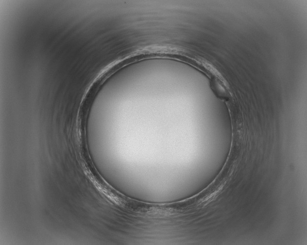 X0000082680981200702161654