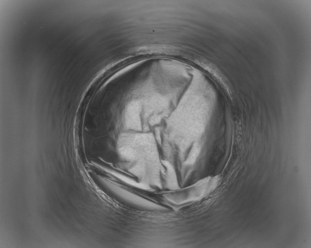 X0000082680983200702161654