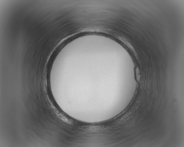 X0000082680984200702161654