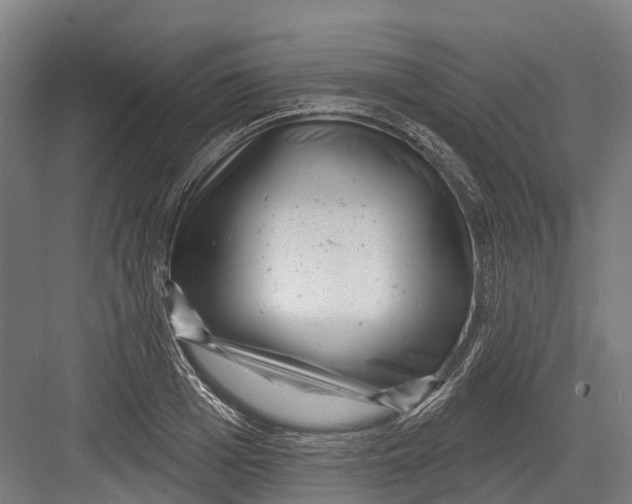 X0000082680985200702161654