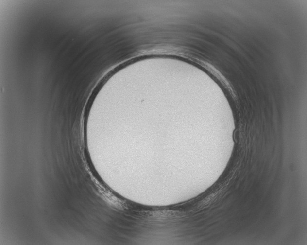 X0000082680988200702161653