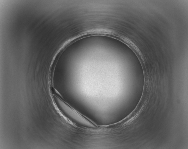 X0000082680989200702161653