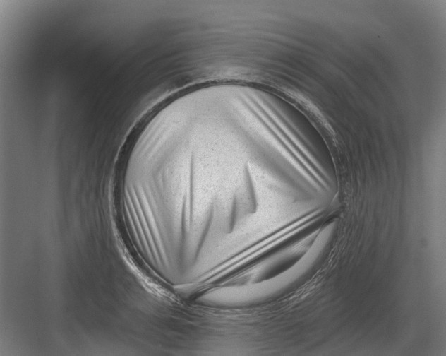 X0000082680991200702161653