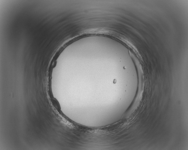 X0000082680992200702161653