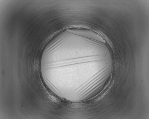 X0000082680993200702161653