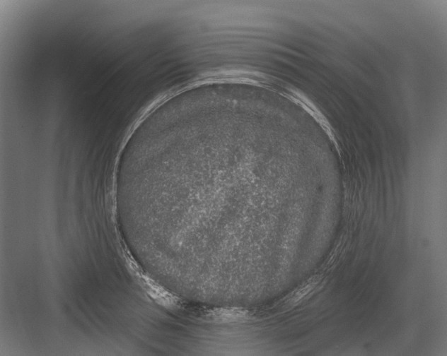 X0000082680994200702161653