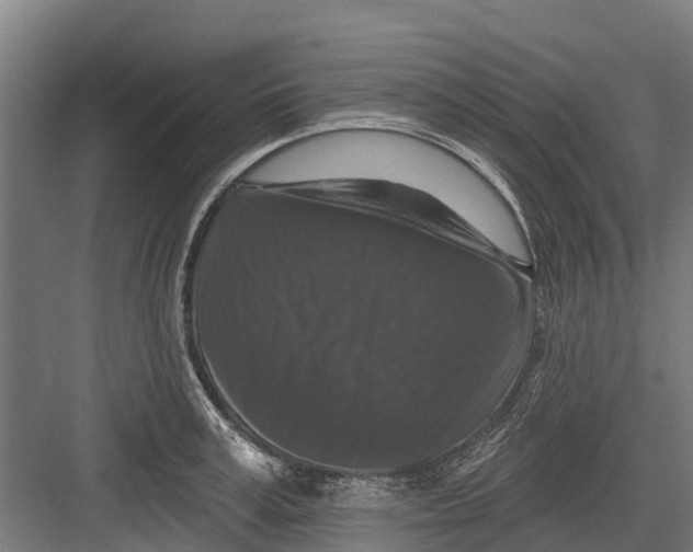 X0000082680995200702161653