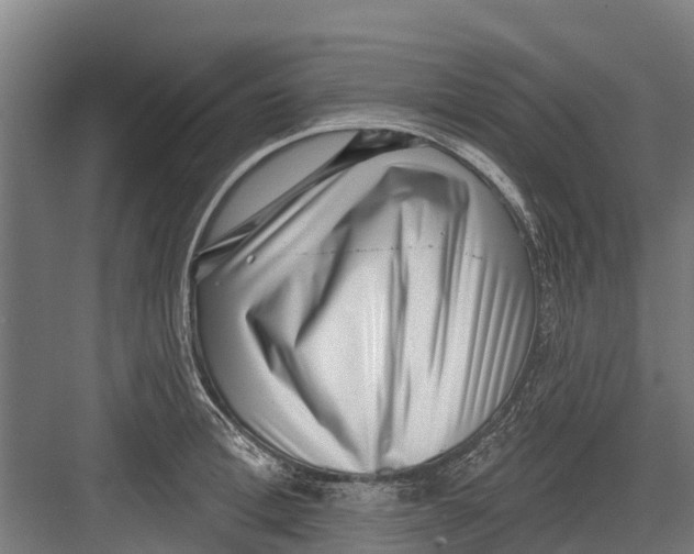 X0000082680996200702161653