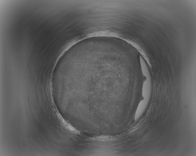 X0000082680998200702161653