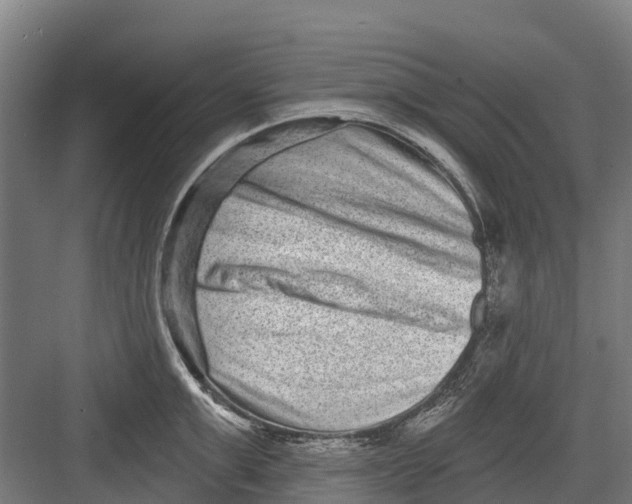 X0000082680999200702161653