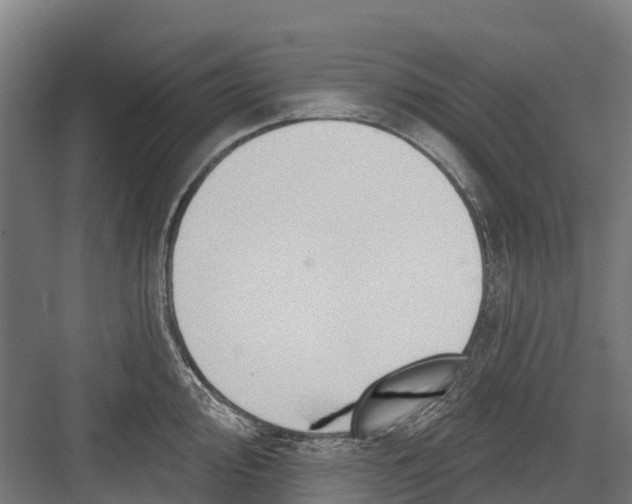 X0000082681000200702161653