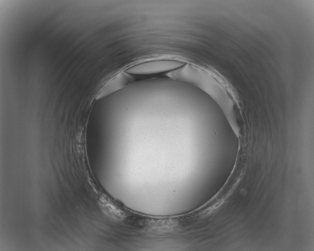 X0000082681001200702161653