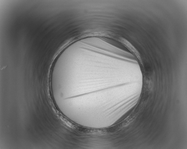 X0000082681002200702161653