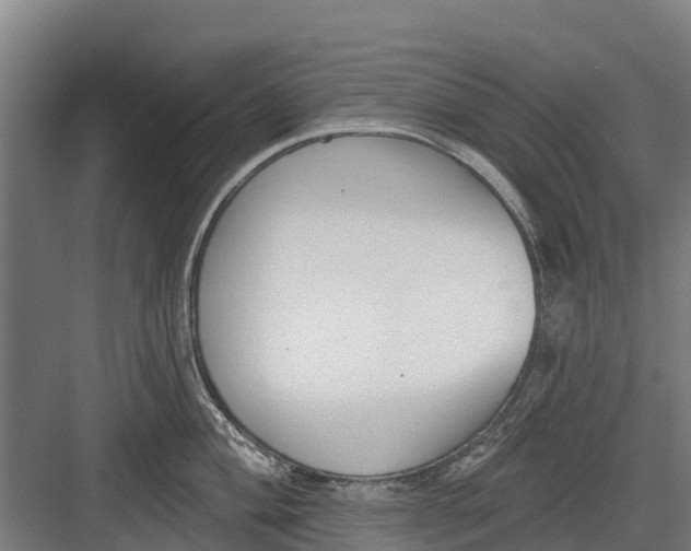 X0000082681004200702161653