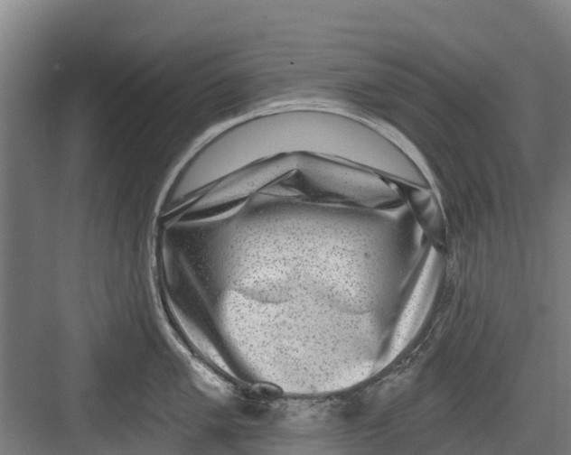 X0000082681005200702161653