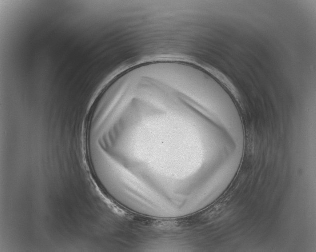 X0000082681006200702161653