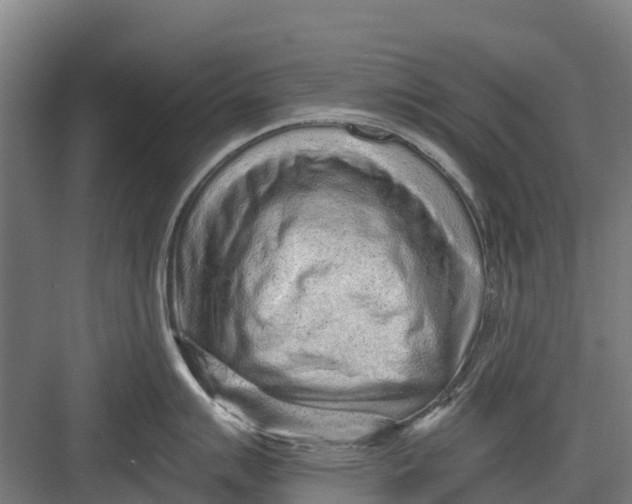 X0000082681007200702161653