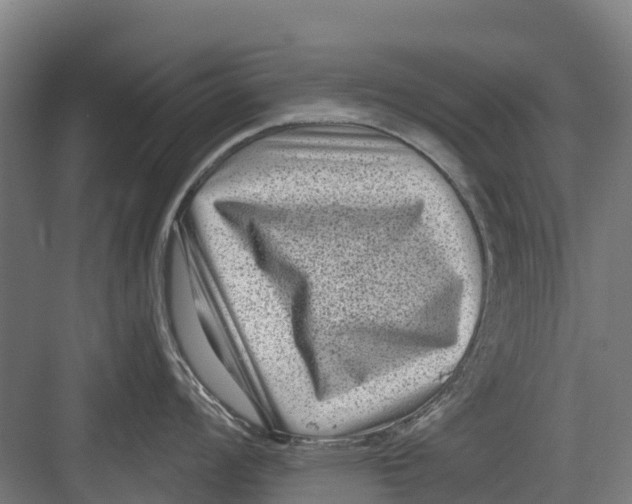 X0000082681008200702161653