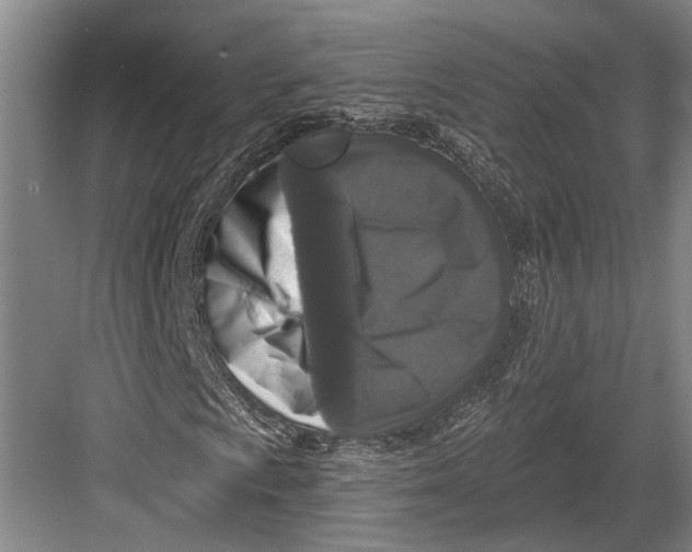 X0000082681009200702161652