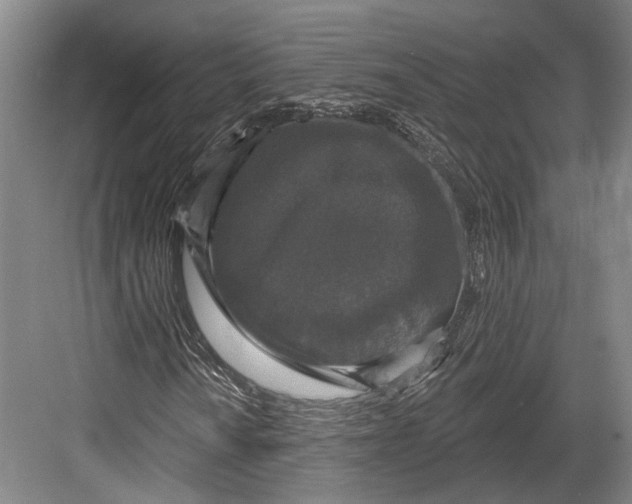 X0000082681010200702161652