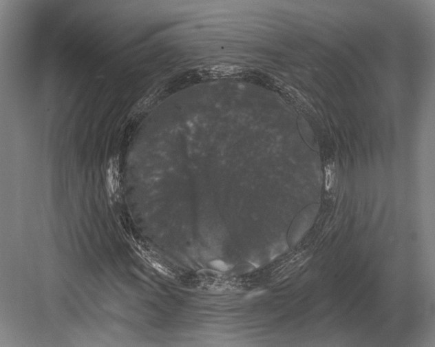 X0000082681011200702161652