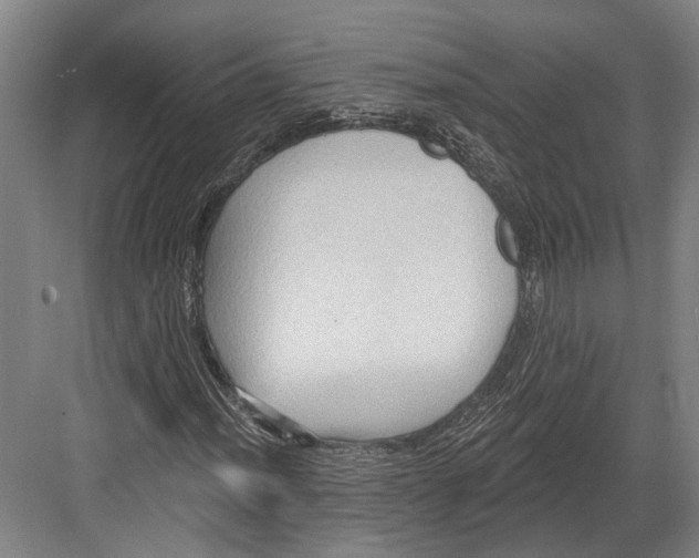 X0000082681012200702161652