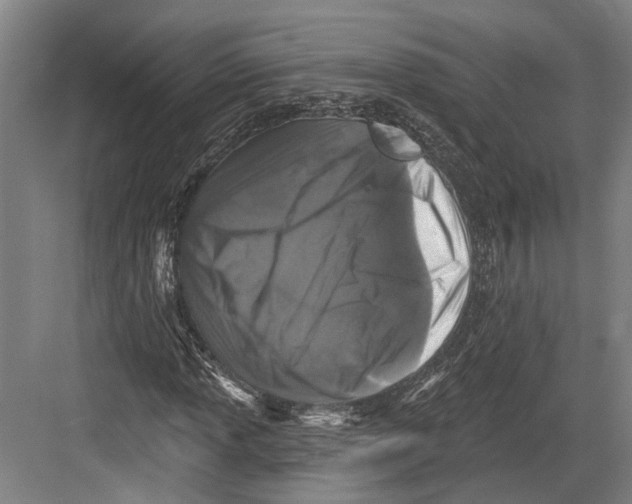 X0000082681013200702161652