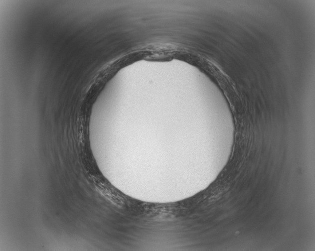 X0000082681016200702161652