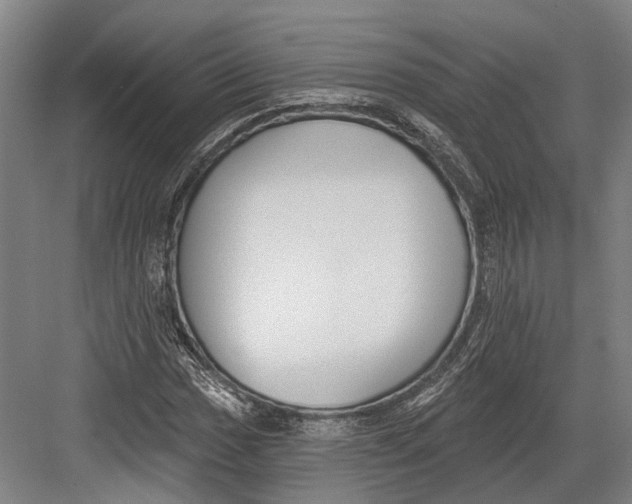 X0000082681017200702161652