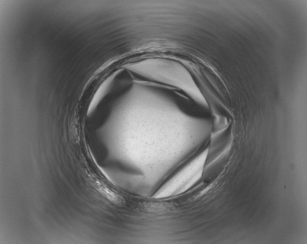 X0000082681018200702161652