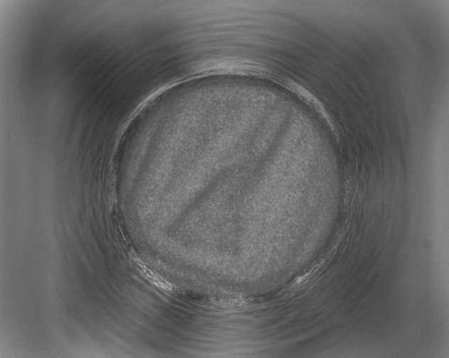 X0000082681019200702161652