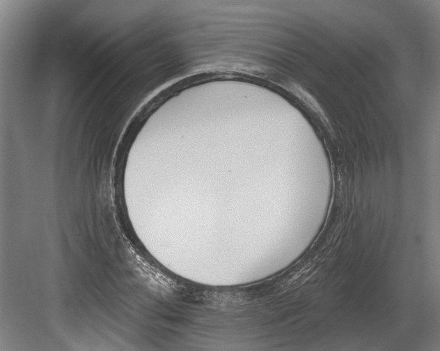 X0000082681020200702161653