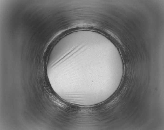 X0000082681021200702161653