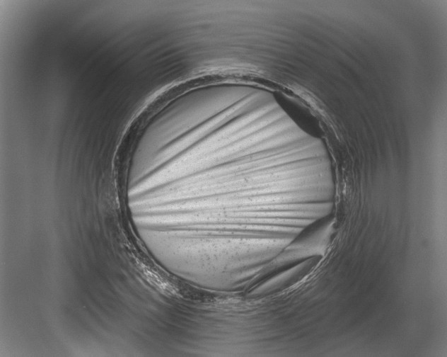 X0000082681022200702161653