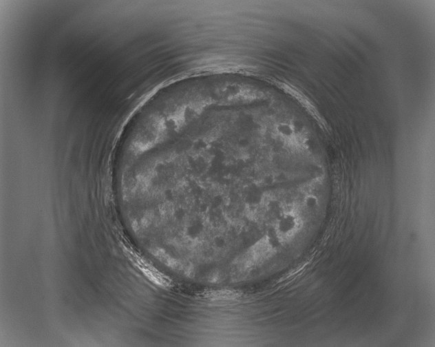 X0000082681023200702161653